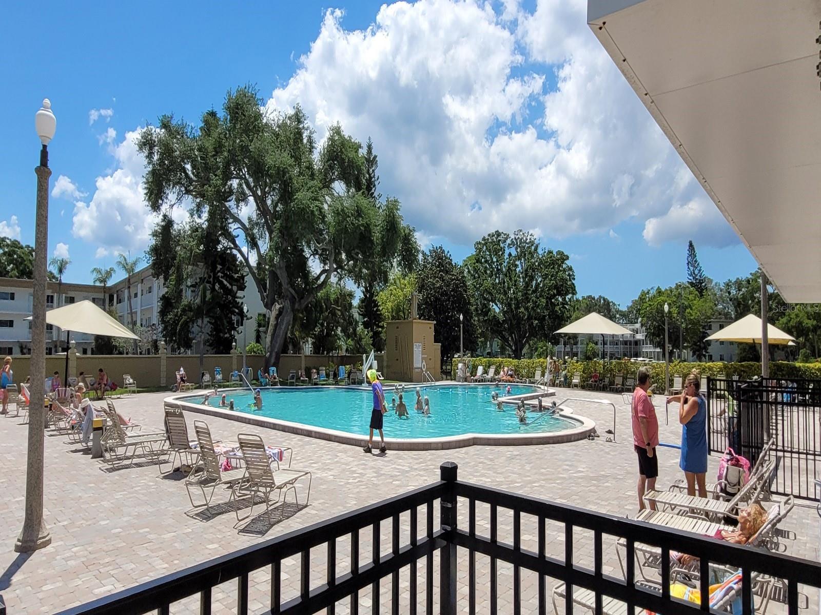 2298 NETHERLANDS DR #32, CLEARWATER, FL, 33763