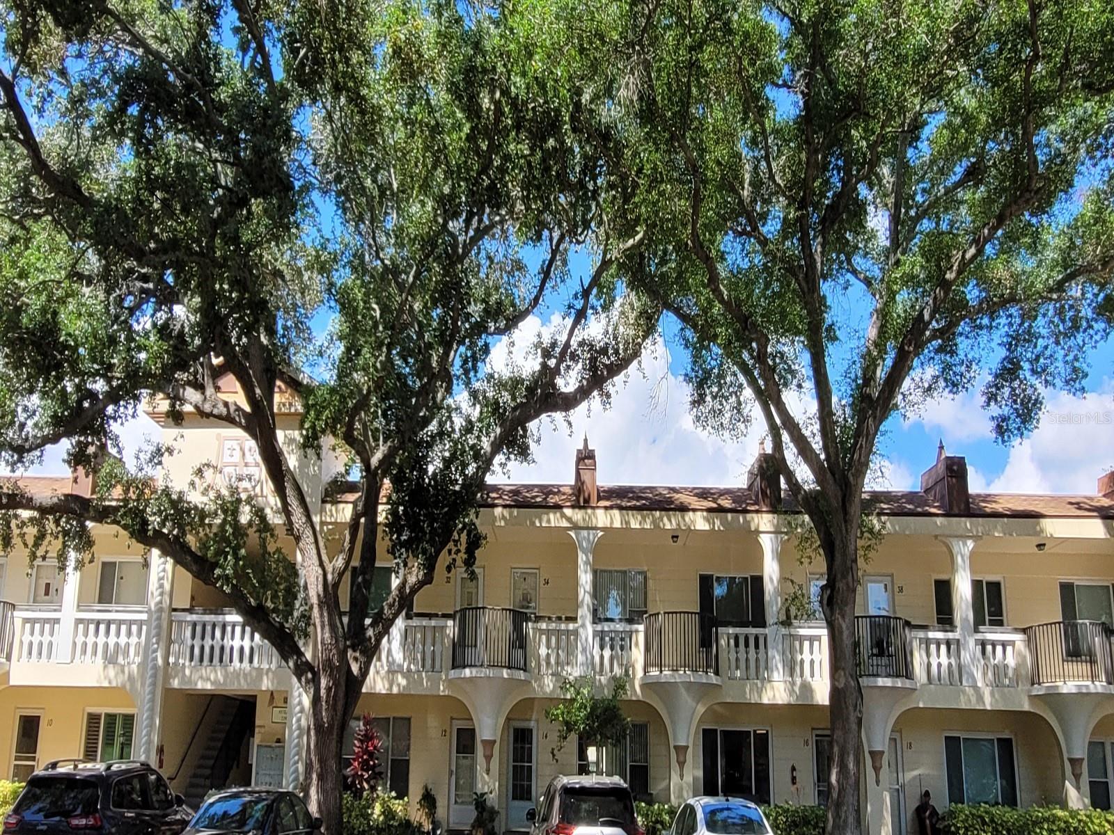 2298 NETHERLANDS DR #32, CLEARWATER, FL, 33763