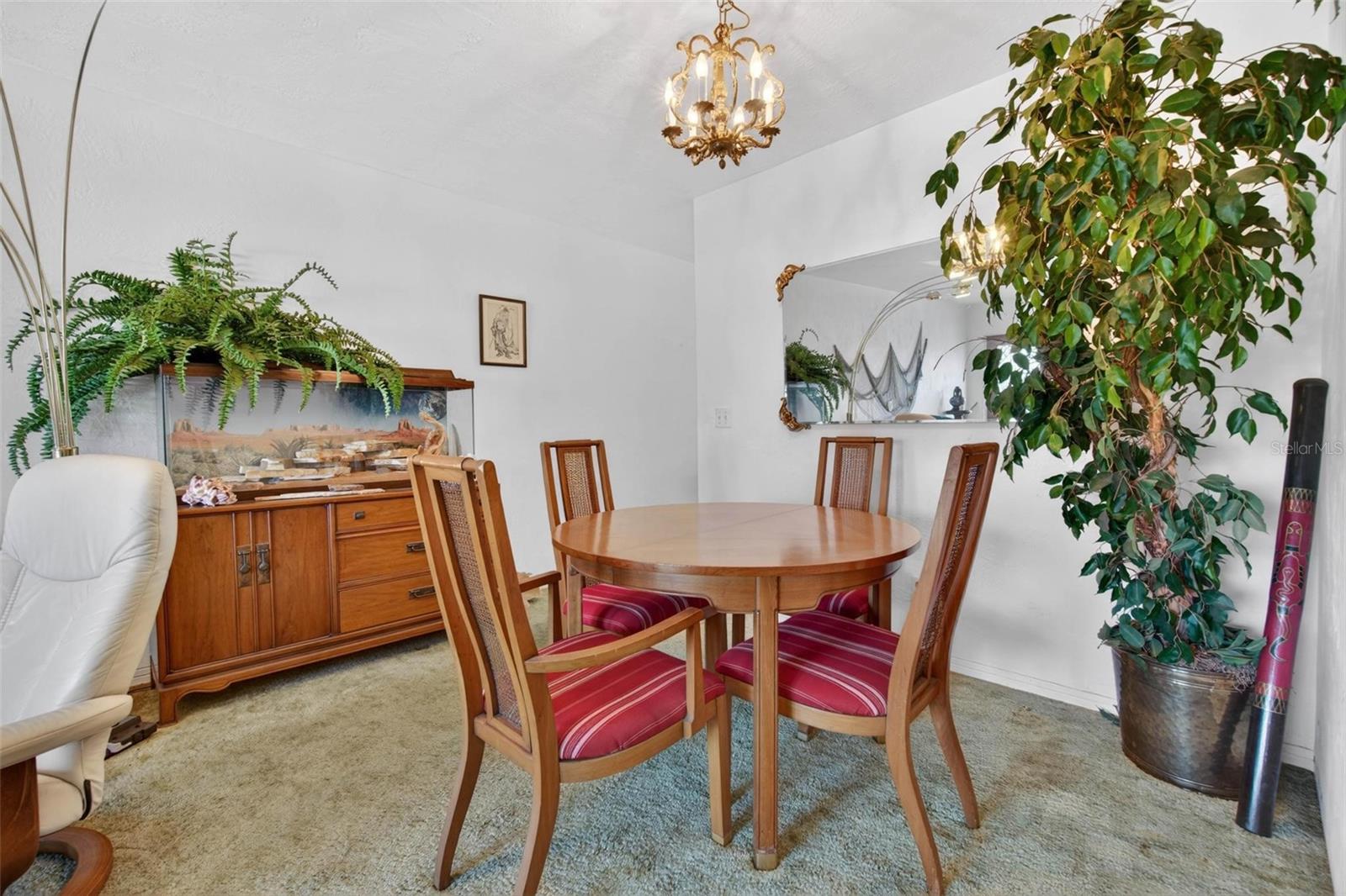 2430 BRAZILIA DR #64, CLEARWATER, FL, 33763