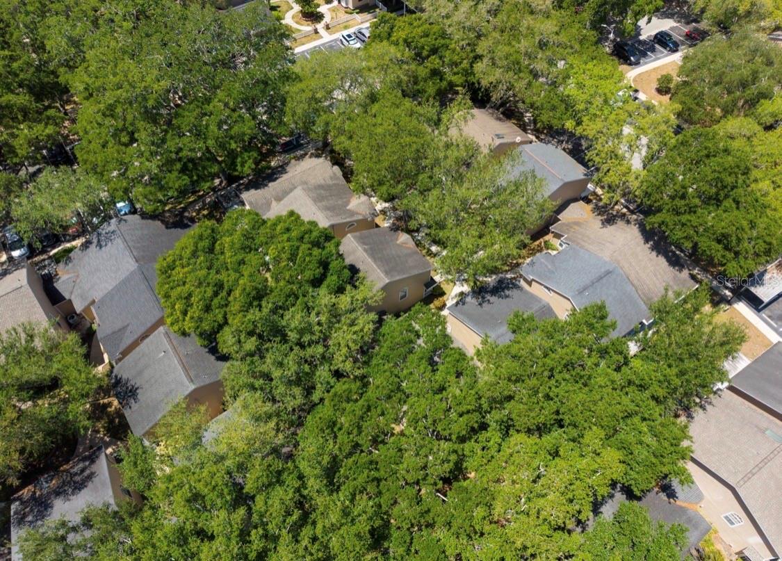 3067 POINTER DR, PALM HARBOR, FL, 34683