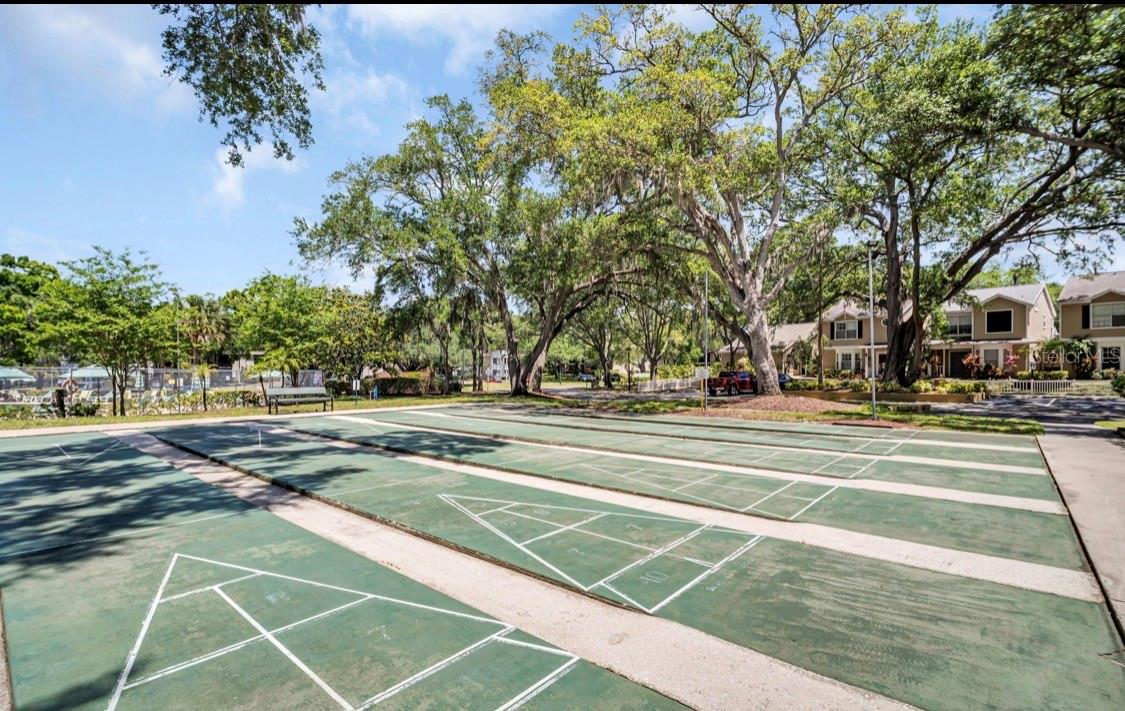 3067 POINTER DR, PALM HARBOR, FL, 34683