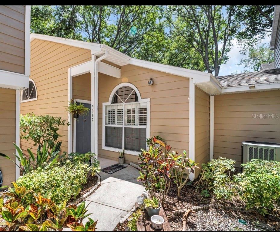 3067 POINTER DR, PALM HARBOR, FL, 34683