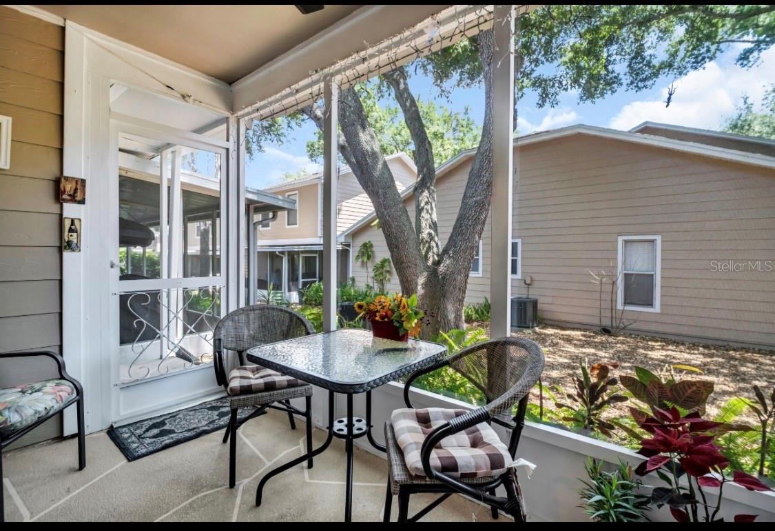 3067 POINTER DR, PALM HARBOR, FL, 34683