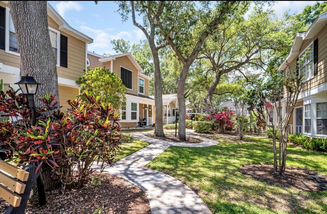 3067 POINTER DR, PALM HARBOR, FL, 34683