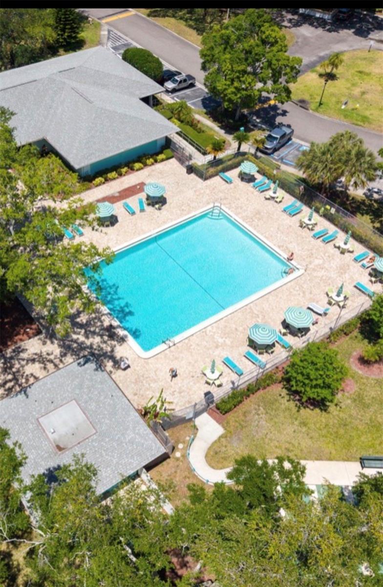 3067 POINTER DR, PALM HARBOR, FL, 34683