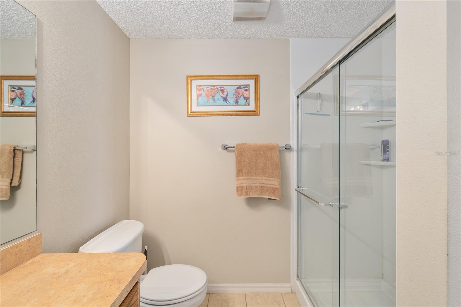 7874 SE 171ST BUCHANAN PL, THE VILLAGES, FL, 32162