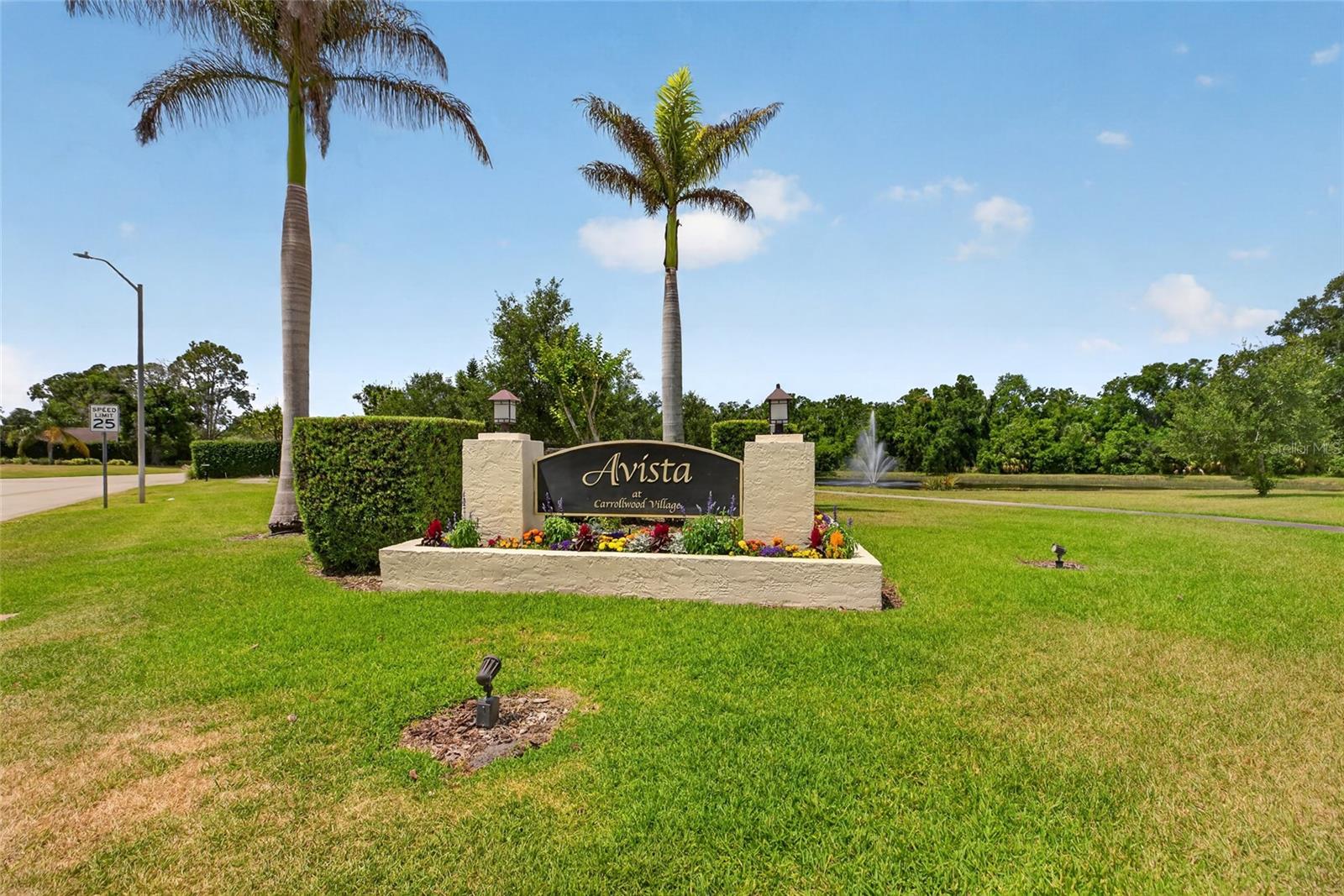 13522 AVISTA DR, TAMPA, FL, 33624