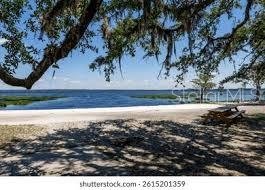 364 VENTURA DR, OLDSMAR, FL, 34677