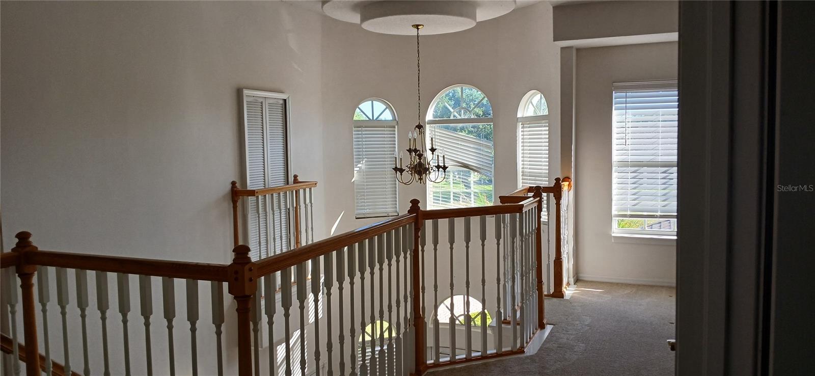 364 VENTURA DR, OLDSMAR, FL, 34677