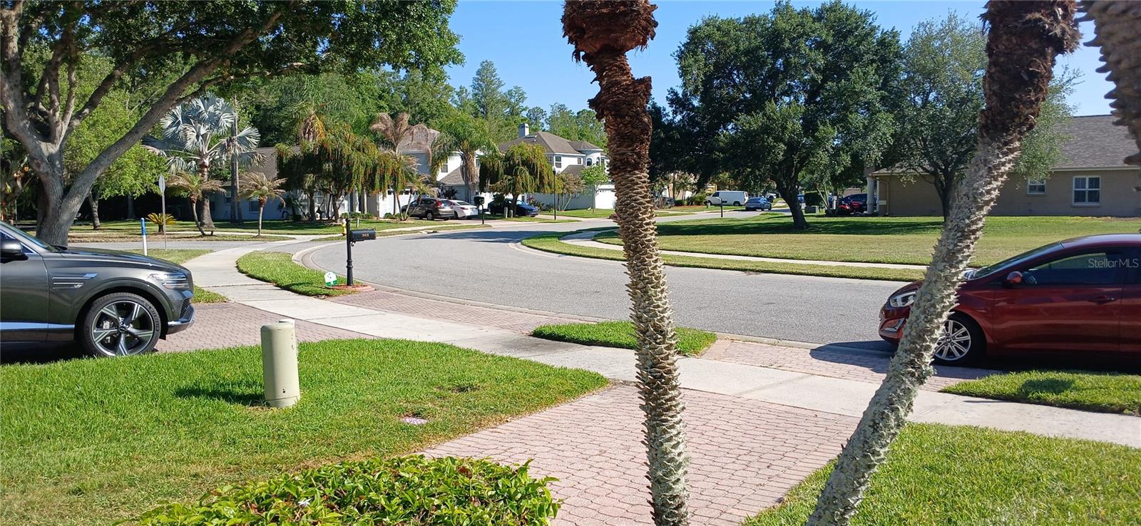 364 VENTURA DR, OLDSMAR, FL, 34677