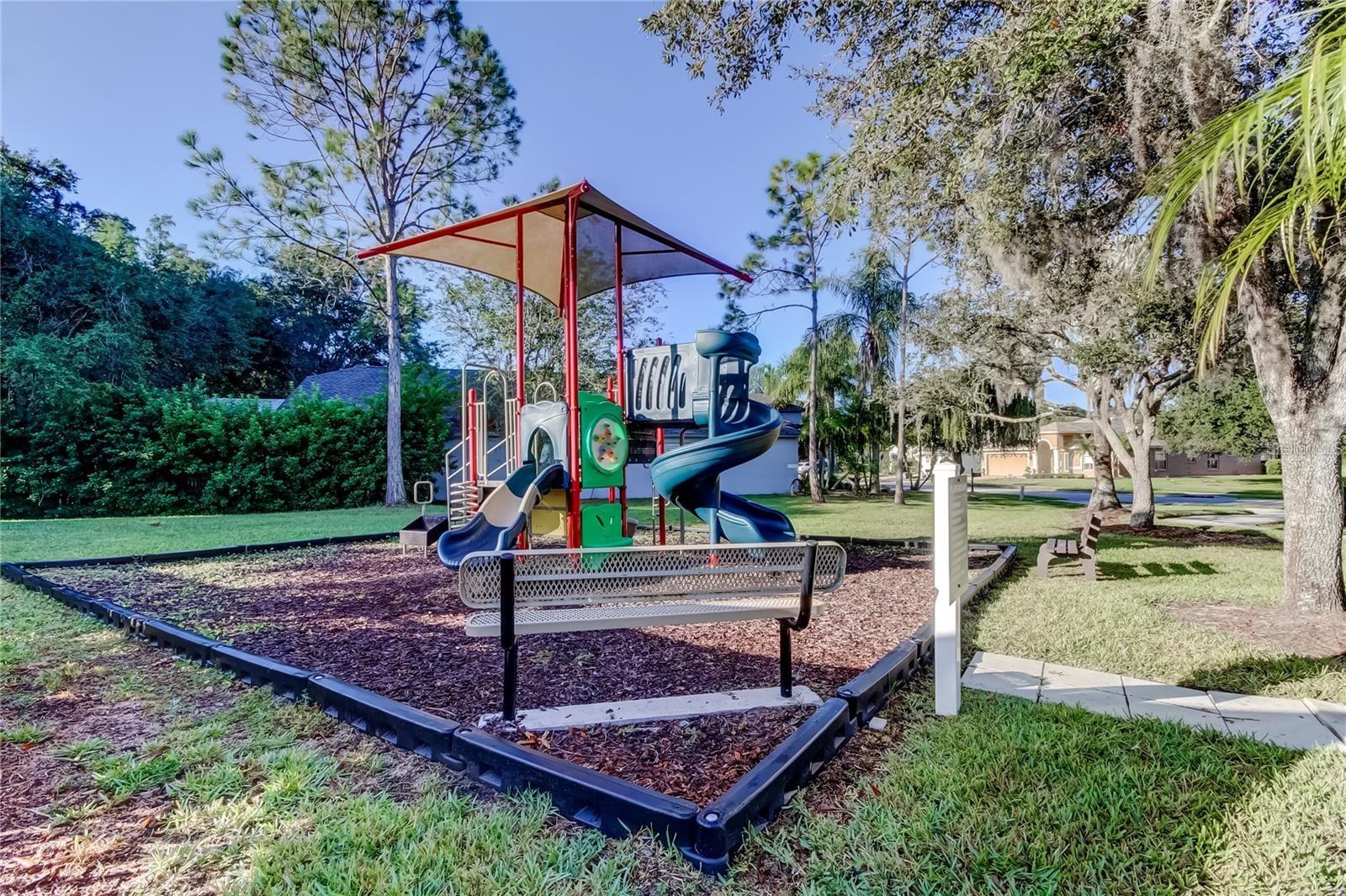 364 VENTURA DR, OLDSMAR, FL, 34677