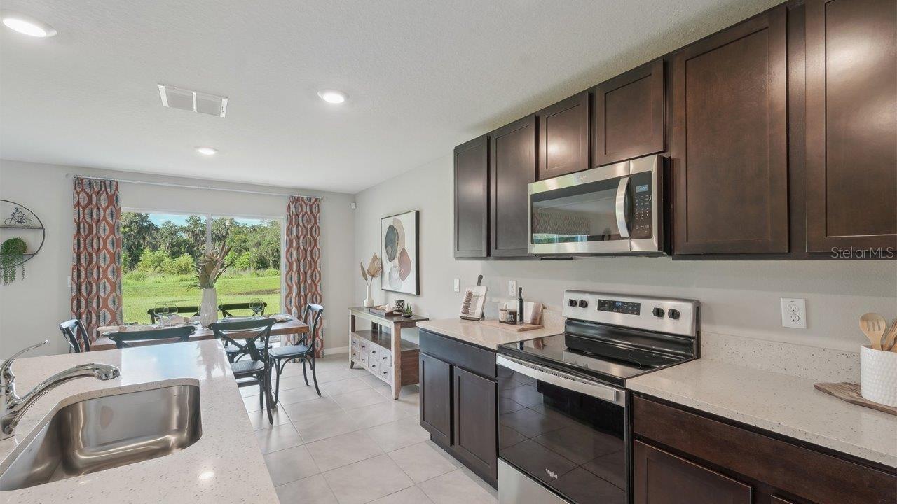 17473 ACORN DROP RD, LAND O LAKES, FL, 34638