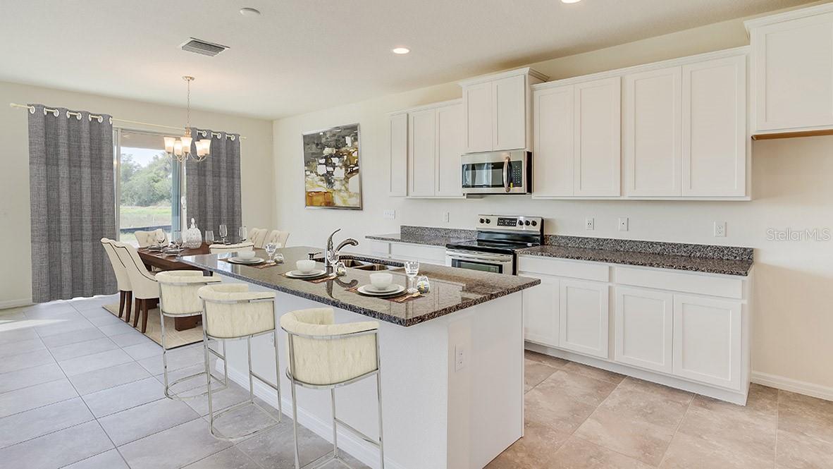 17473 MAPLE GROVE RD, LAND O LAKES, FL, 34638