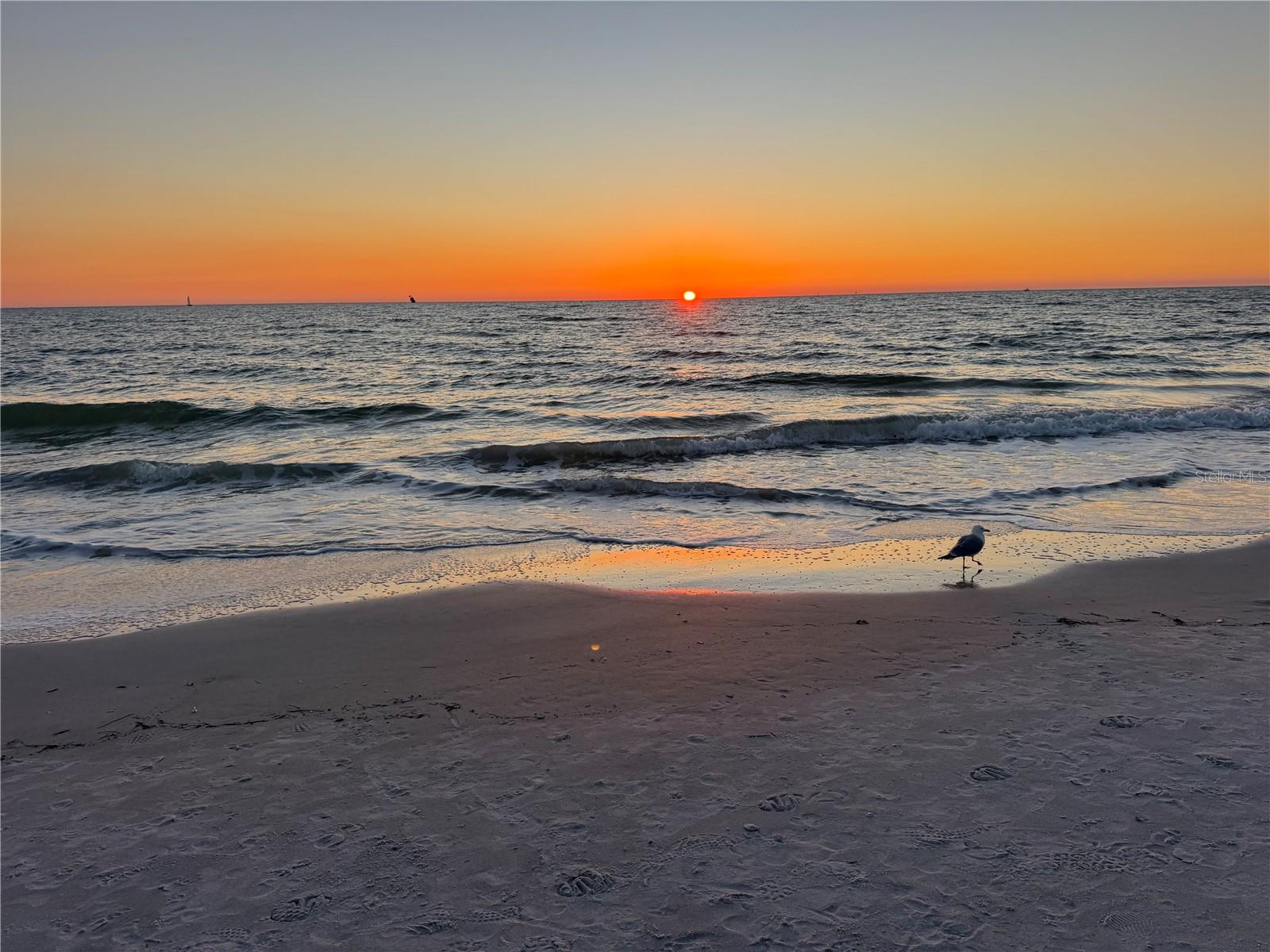 8209 134TH STREET, SEMINOLE, FL, 33776