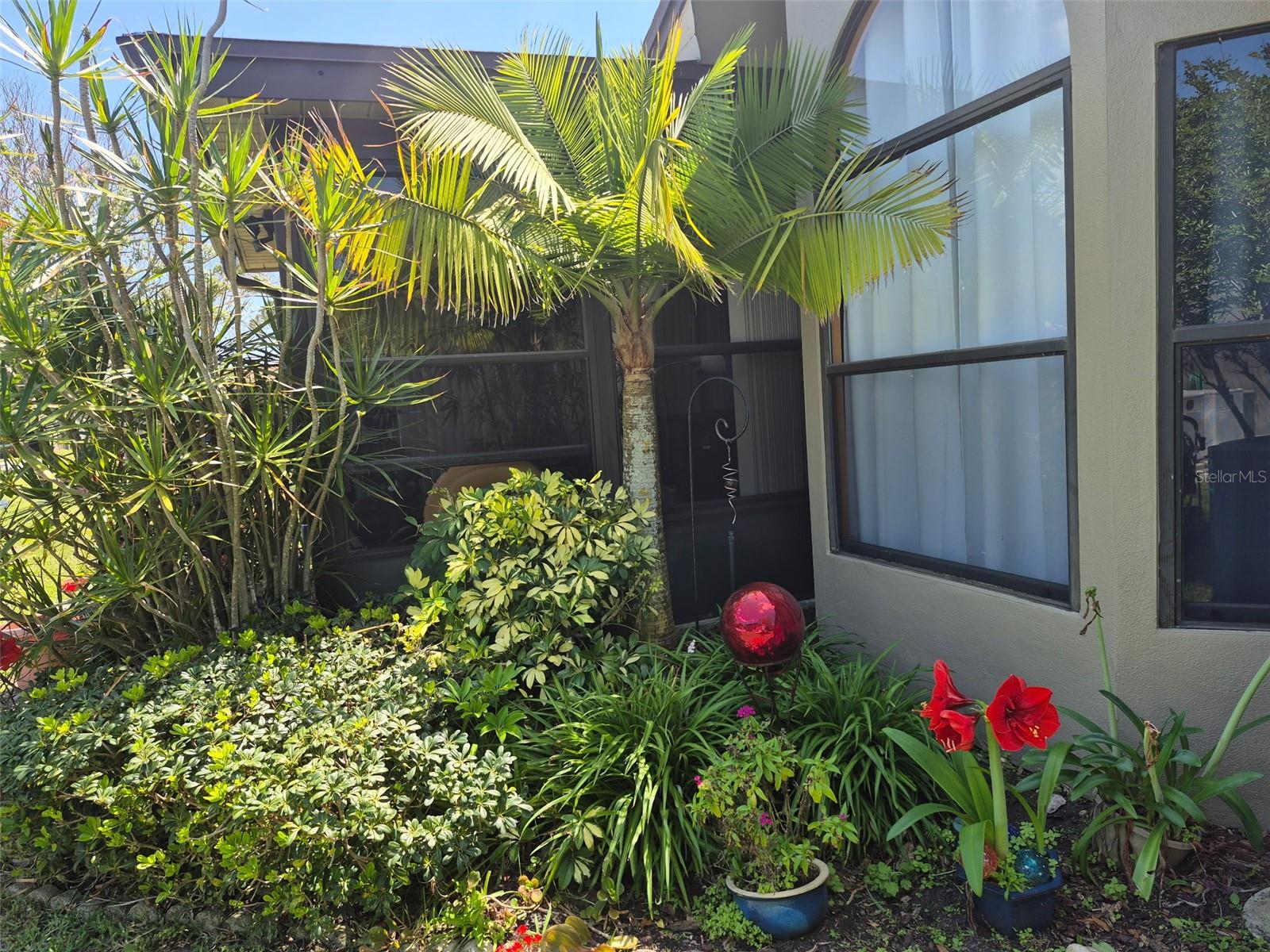 1654 NASH CT, DUNEDIN, FL, 34698