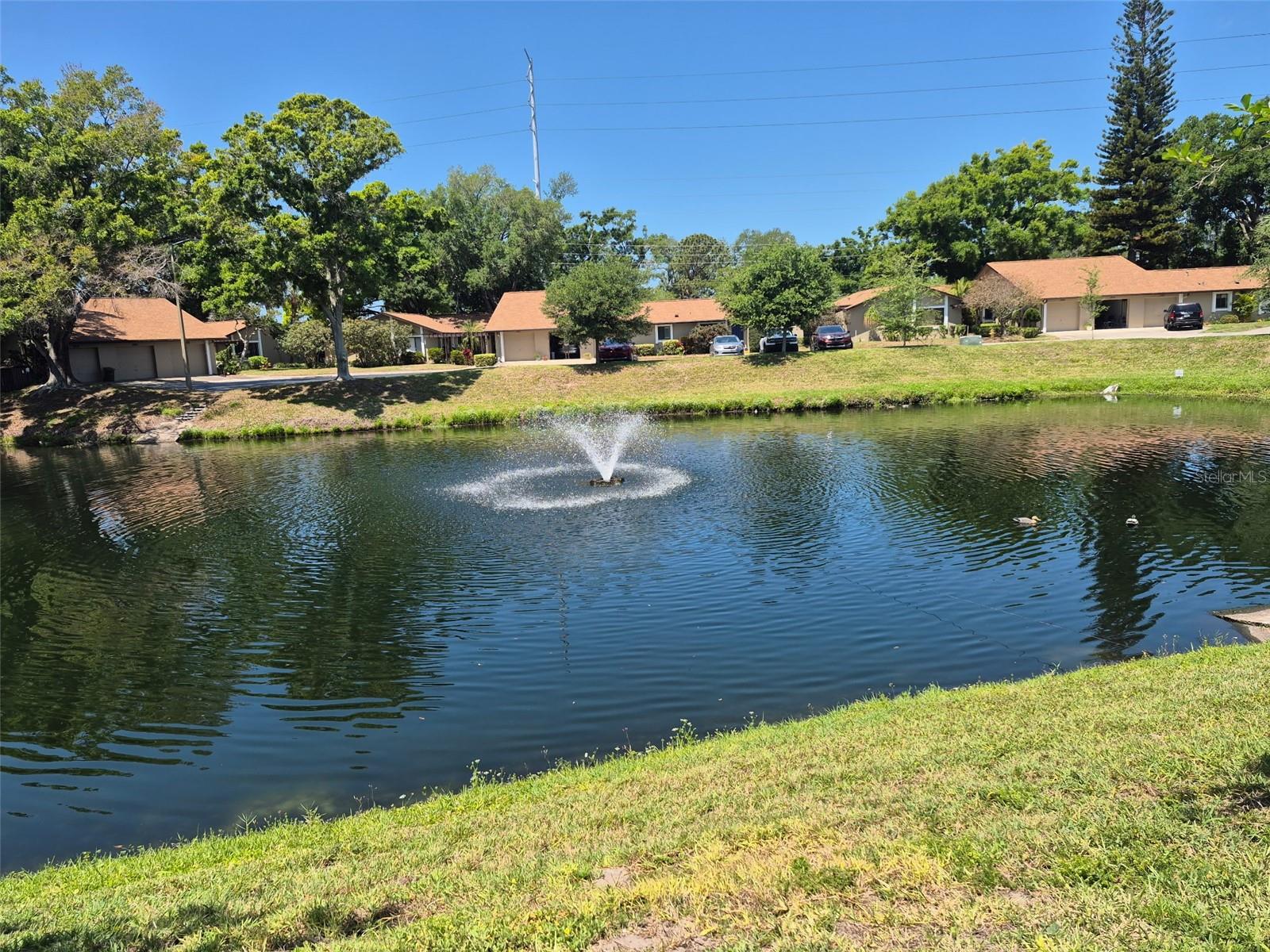 1654 NASH CT, DUNEDIN, FL, 34698