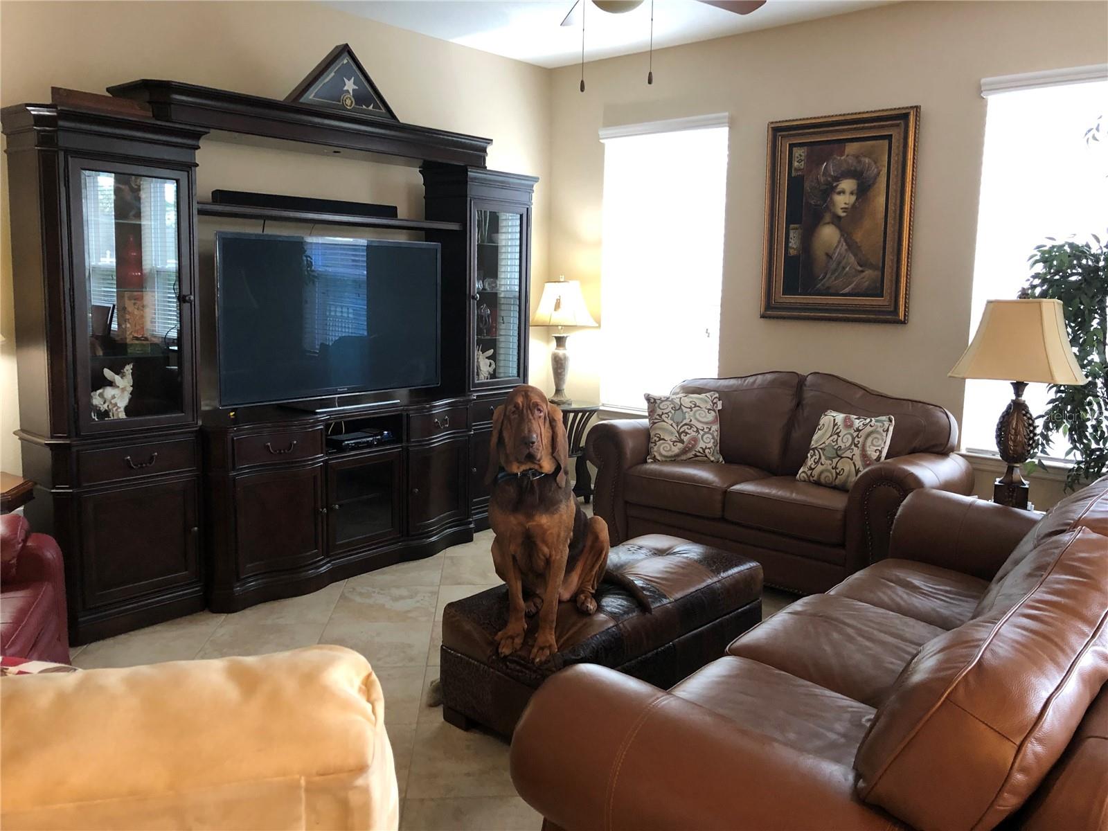5086 NW 35TH PL, OCALA, FL, 34482