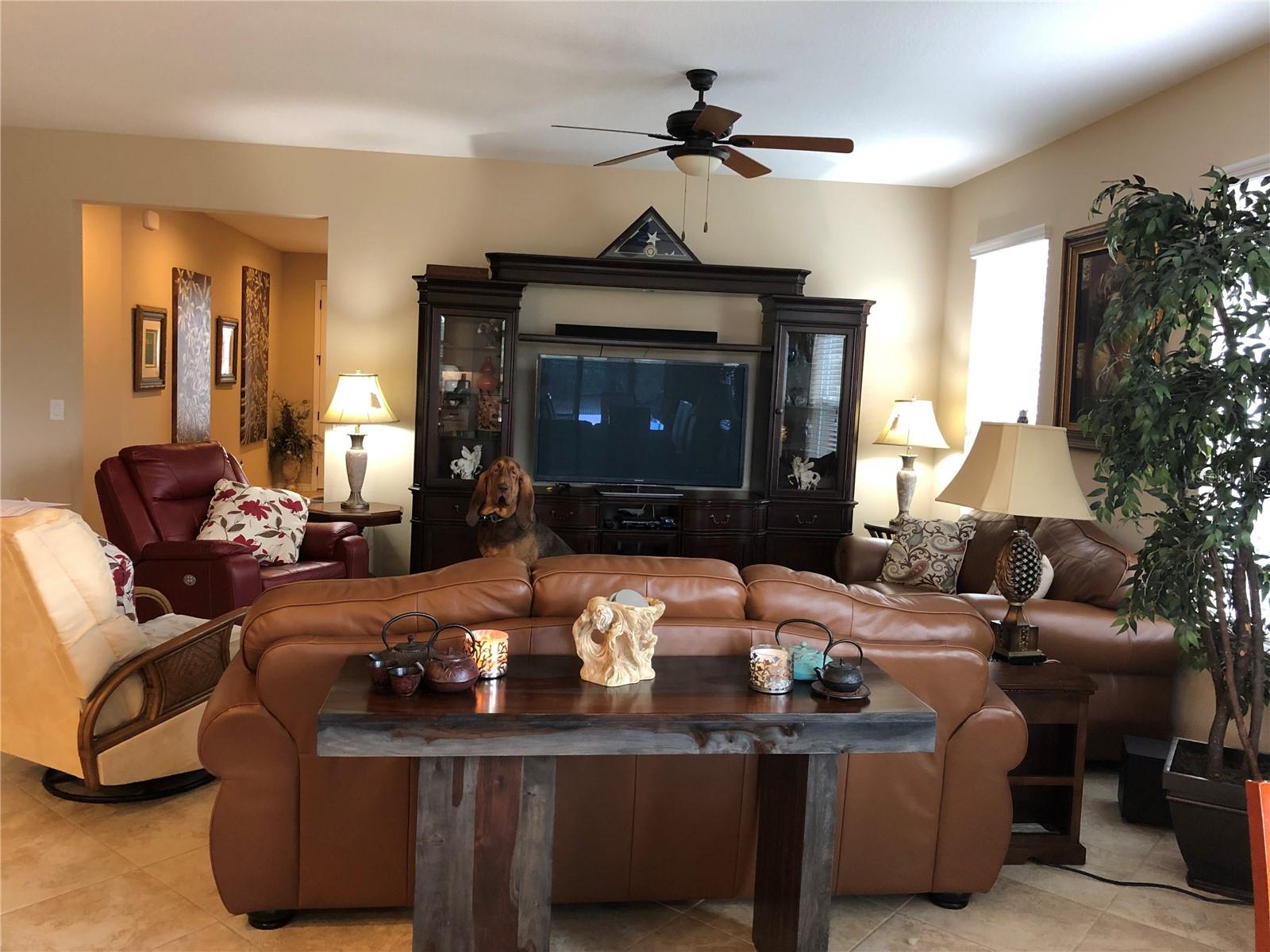 5086 NW 35TH PL, OCALA, FL, 34482