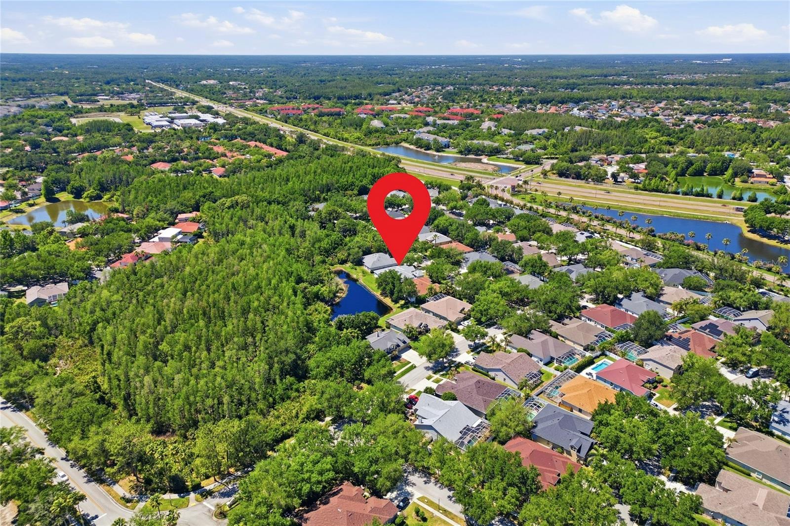 10206 SHADOW BRANCH DR, TAMPA, FL, 33647