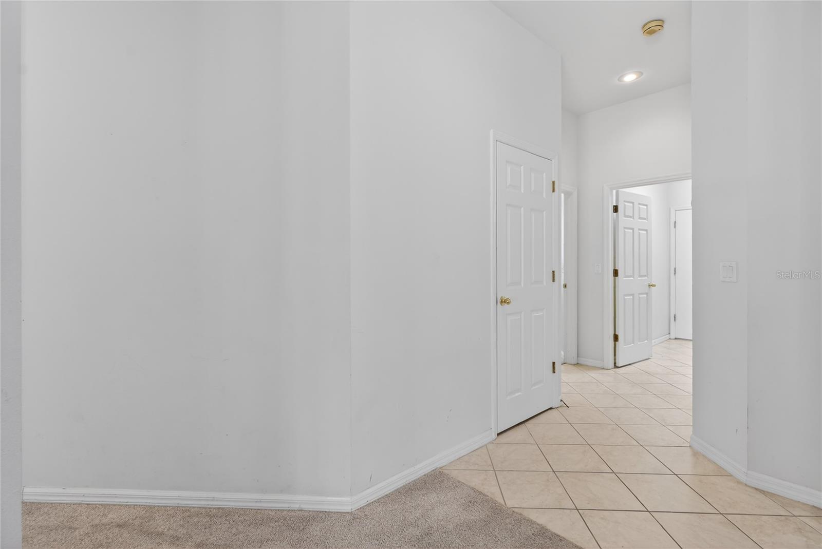 10206 SHADOW BRANCH DR, TAMPA, FL, 33647