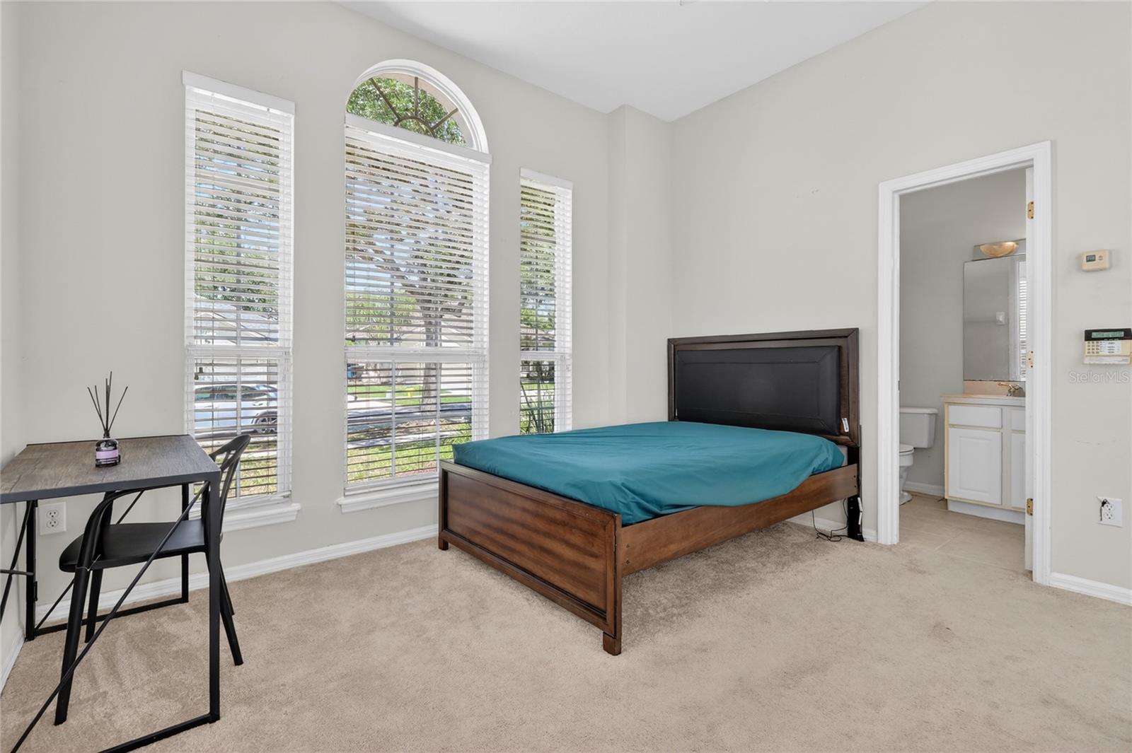 10206 SHADOW BRANCH DR, TAMPA, FL, 33647