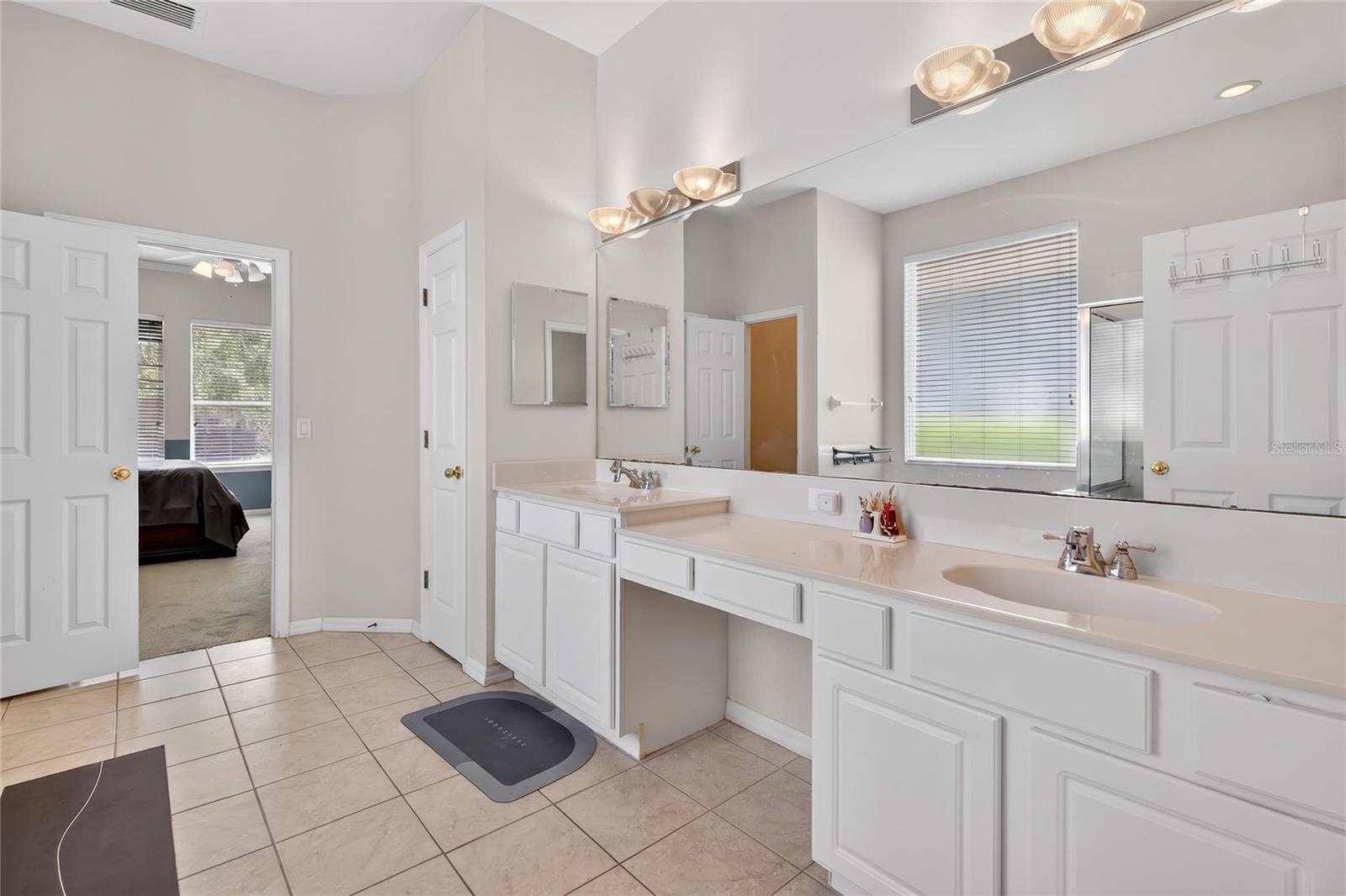 10206 SHADOW BRANCH DR, TAMPA, FL, 33647