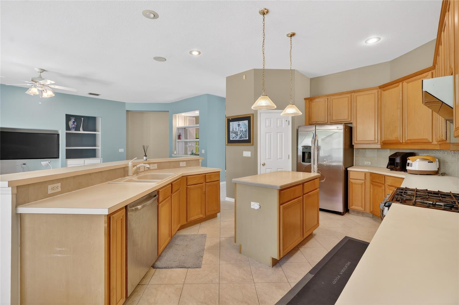 10206 SHADOW BRANCH DR, TAMPA, FL, 33647