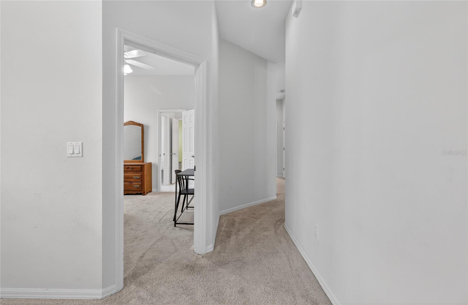 10206 SHADOW BRANCH DR, TAMPA, FL, 33647