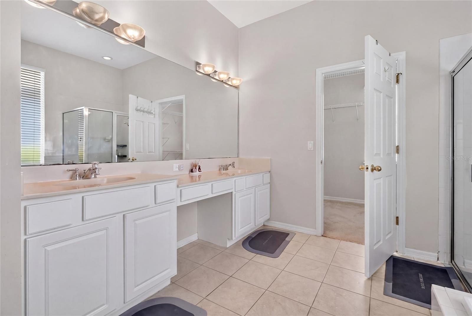 10206 SHADOW BRANCH DR, TAMPA, FL, 33647