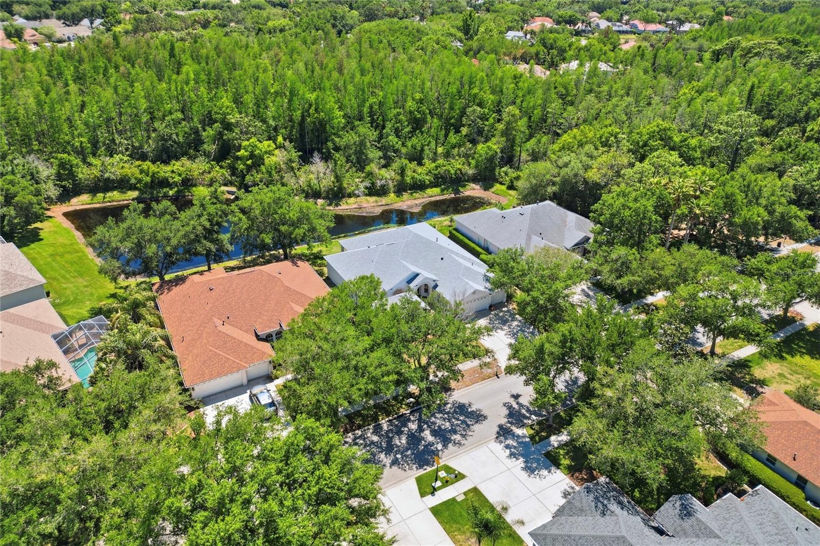 10206 SHADOW BRANCH DR, TAMPA, FL, 33647