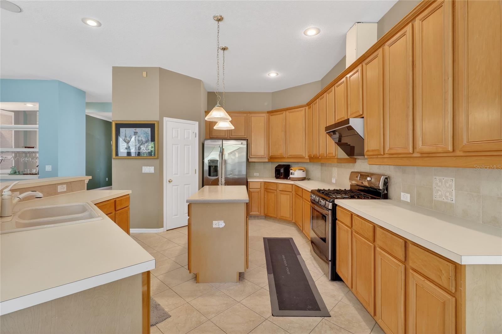 10206 SHADOW BRANCH DR, TAMPA, FL, 33647