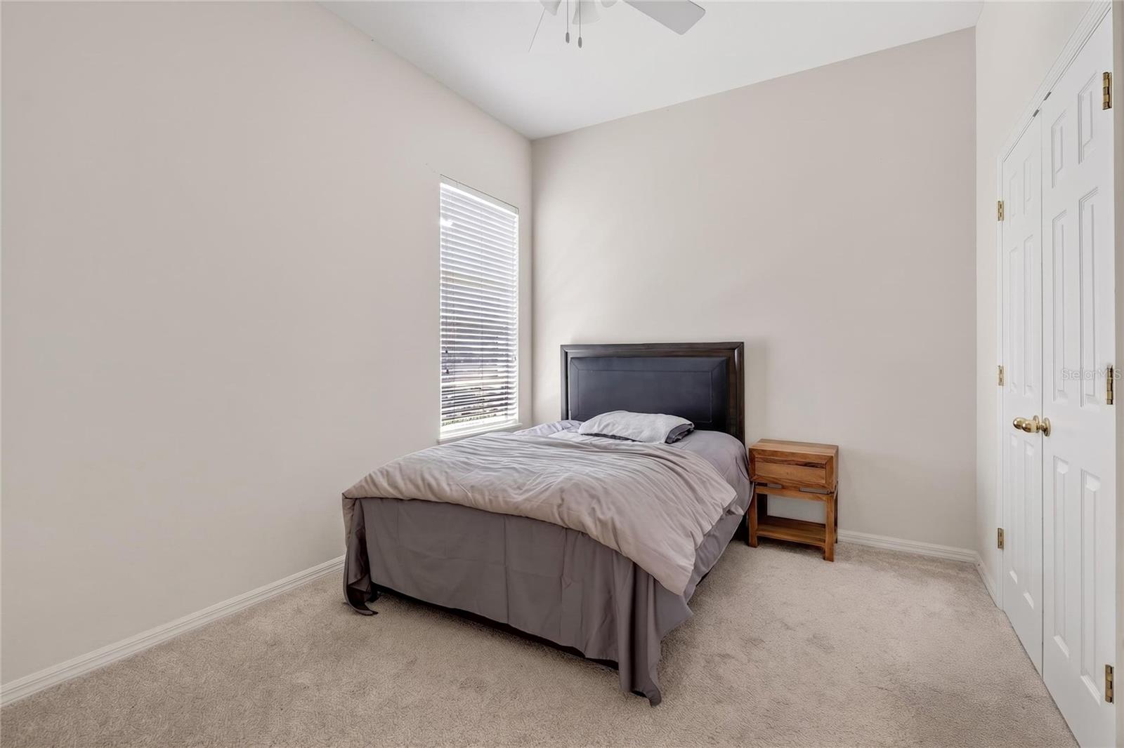 10206 SHADOW BRANCH DR, TAMPA, FL, 33647