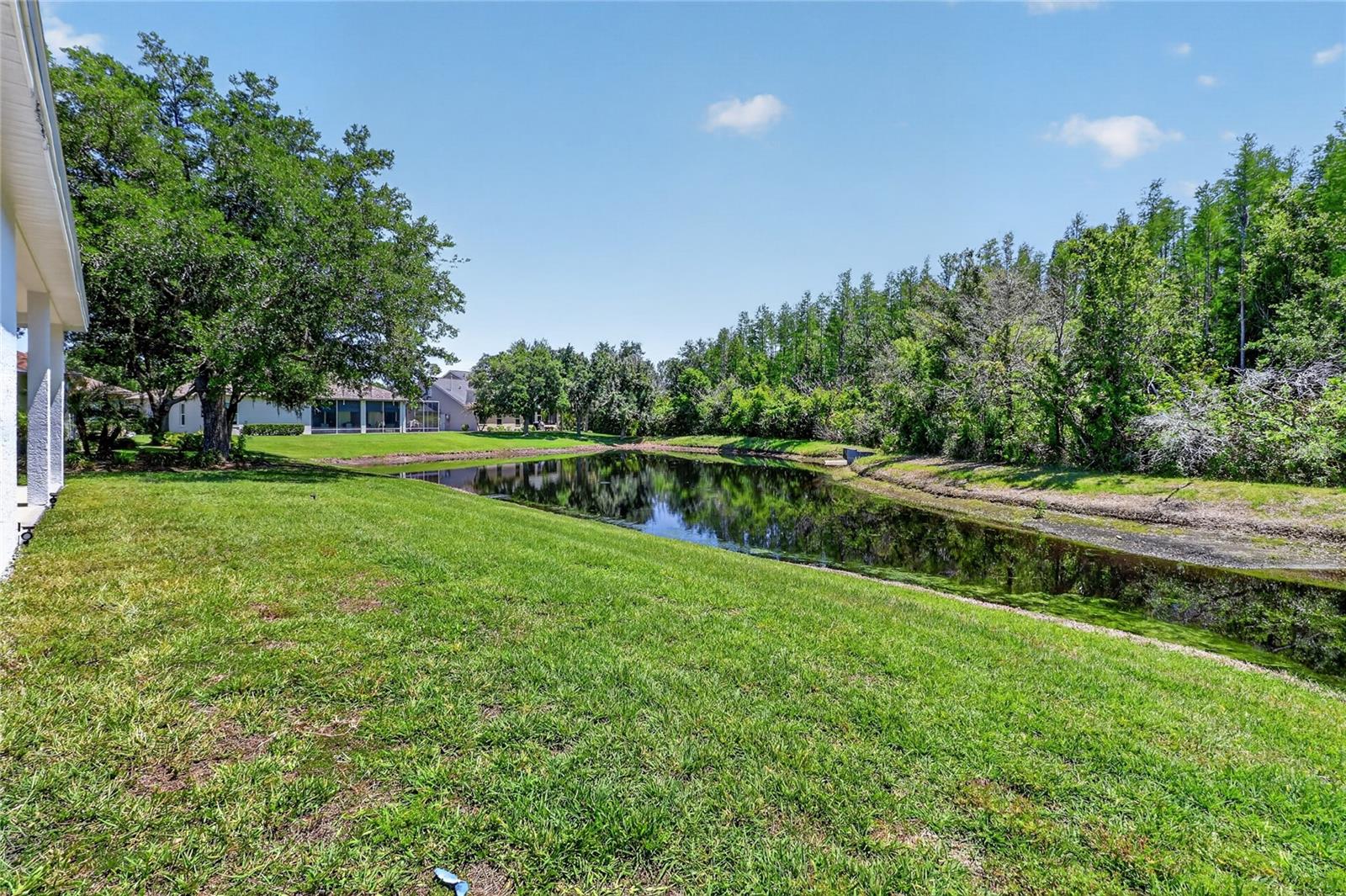 10206 SHADOW BRANCH DR, TAMPA, FL, 33647