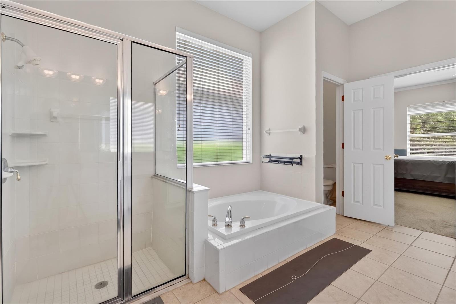 10206 SHADOW BRANCH DR, TAMPA, FL, 33647