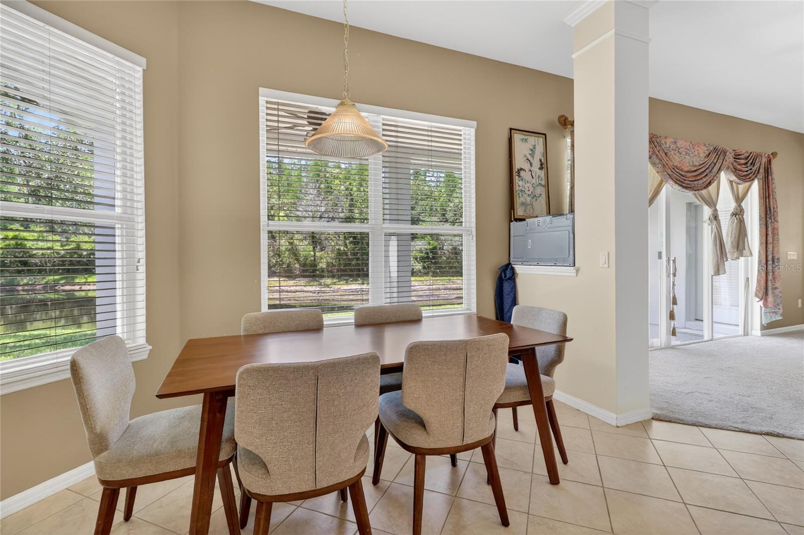 10206 SHADOW BRANCH DR, TAMPA, FL, 33647