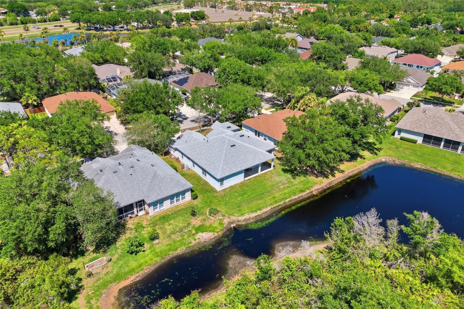 10206 SHADOW BRANCH DR, TAMPA, FL, 33647