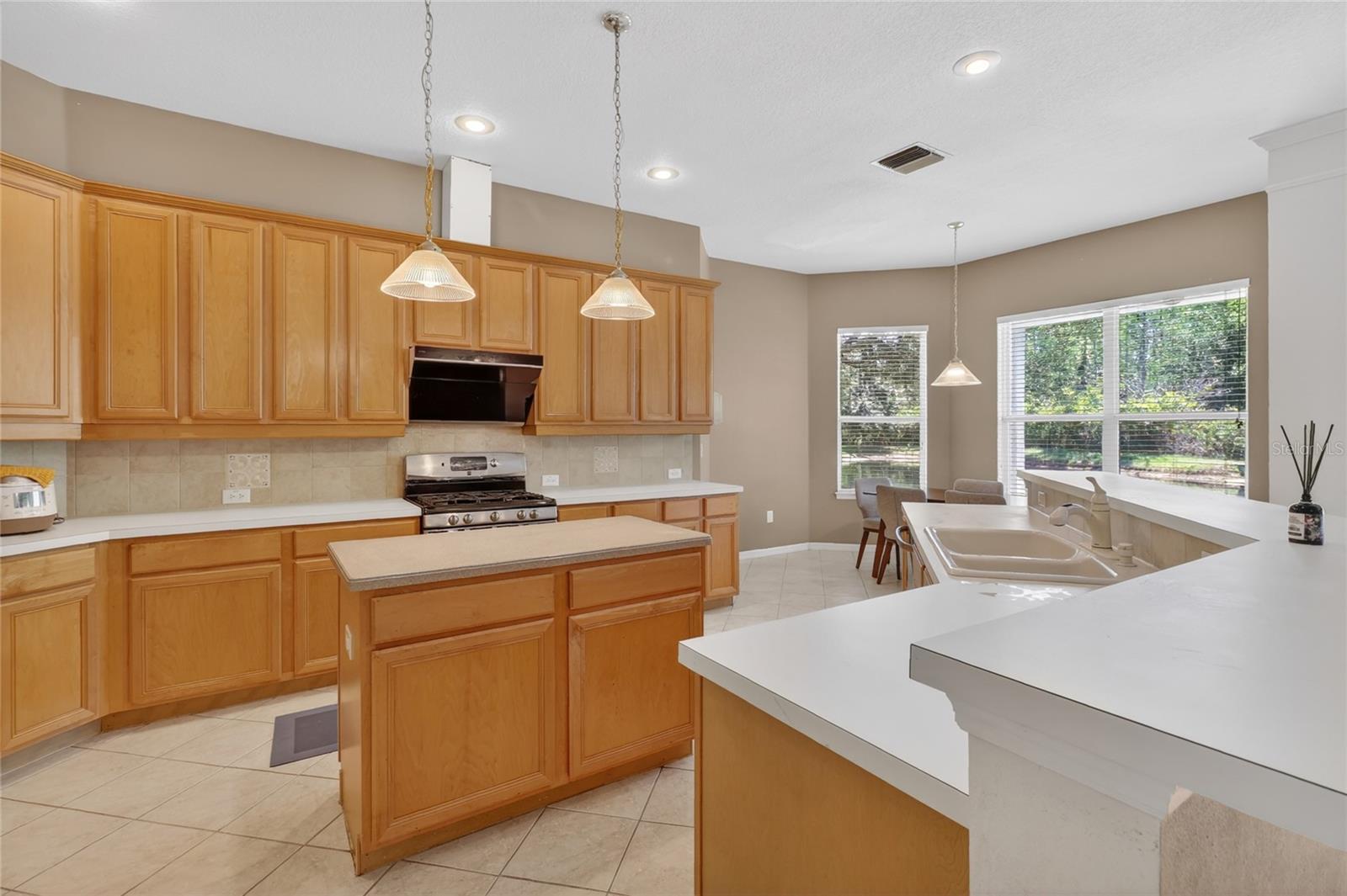 10206 SHADOW BRANCH DR, TAMPA, FL, 33647