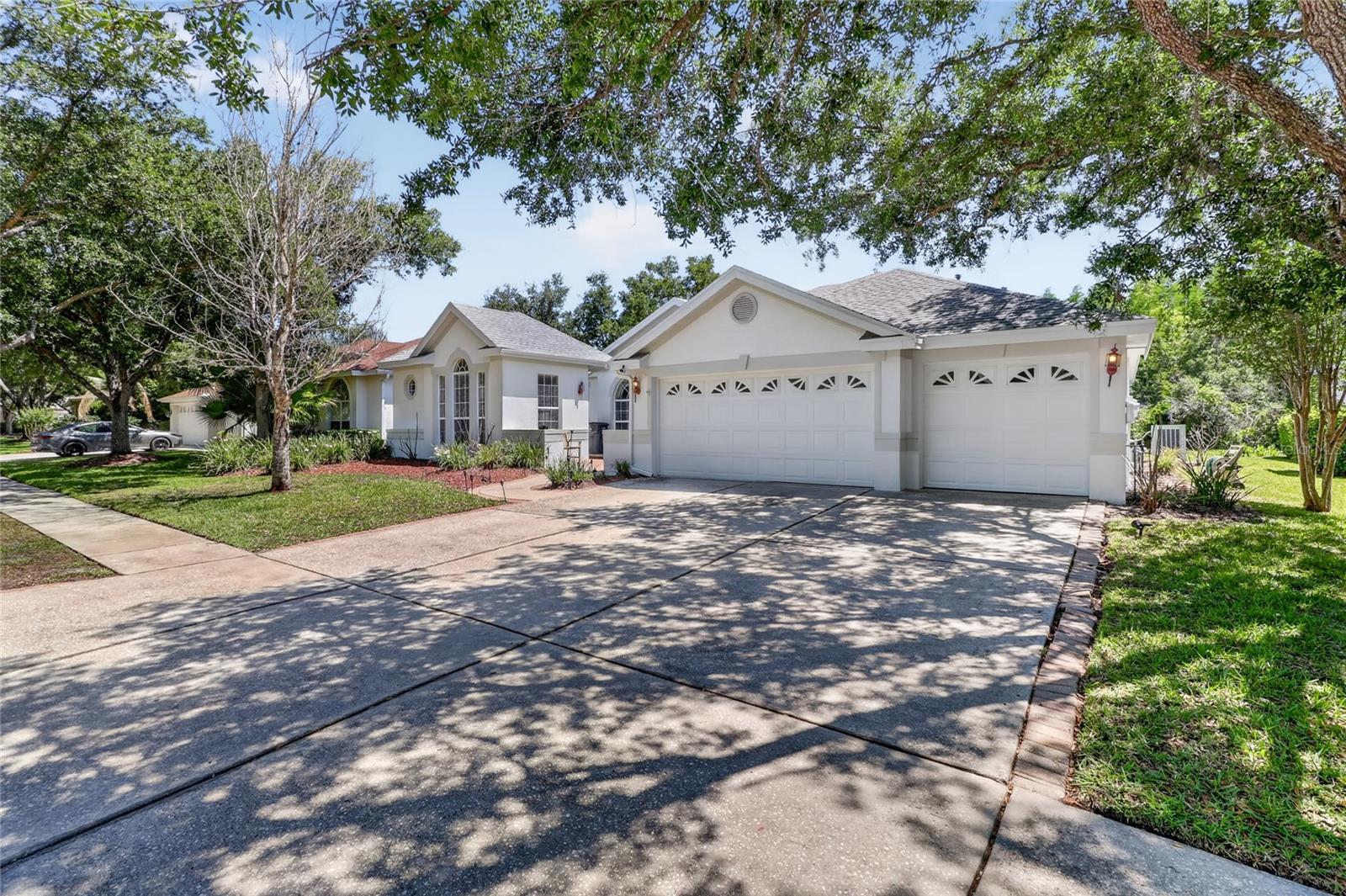 10206 SHADOW BRANCH DR, TAMPA, FL, 33647