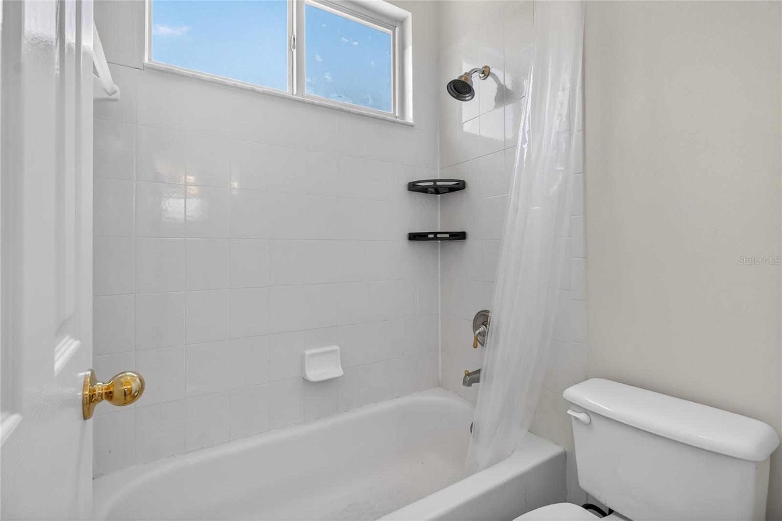 10206 SHADOW BRANCH DR, TAMPA, FL, 33647