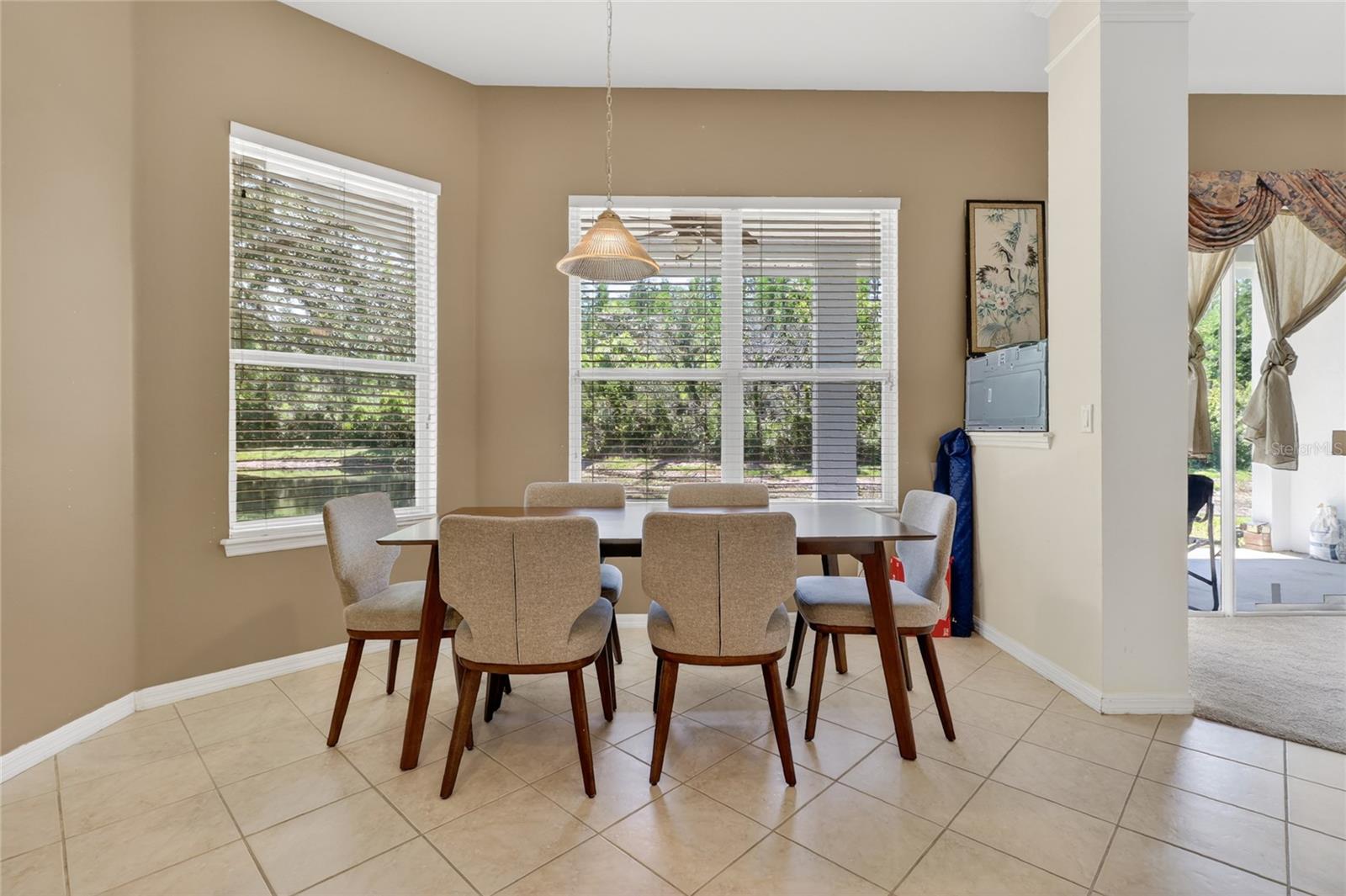 10206 SHADOW BRANCH DR, TAMPA, FL, 33647