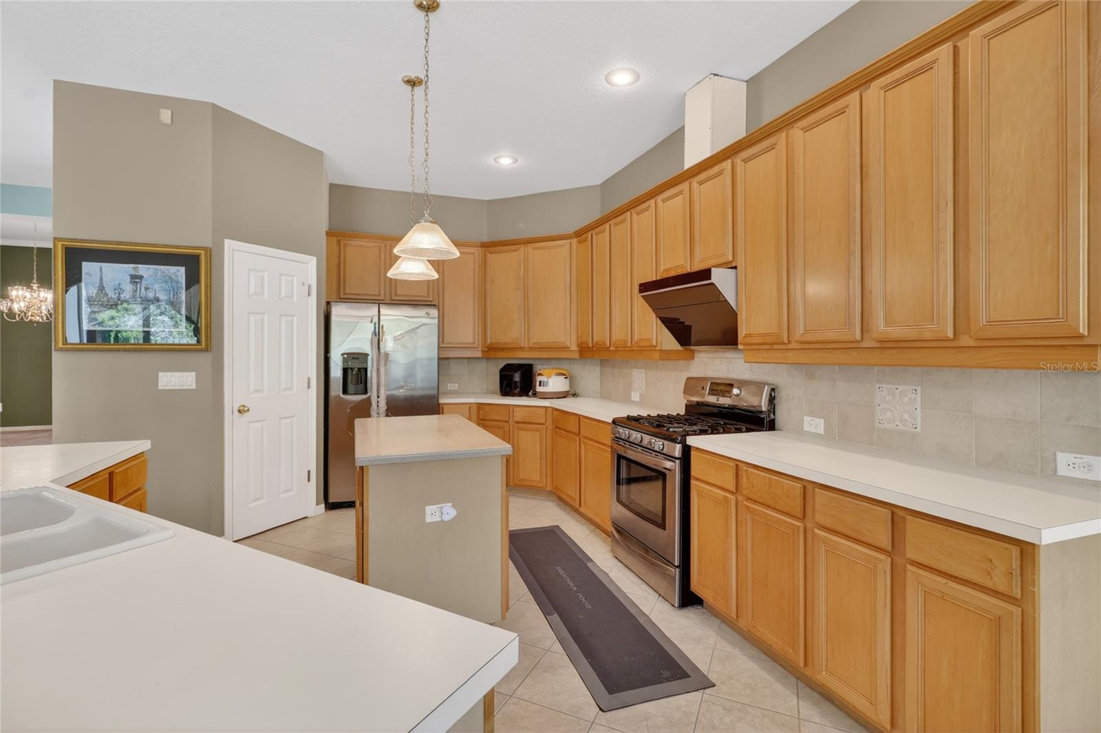 10206 SHADOW BRANCH DR, TAMPA, FL, 33647