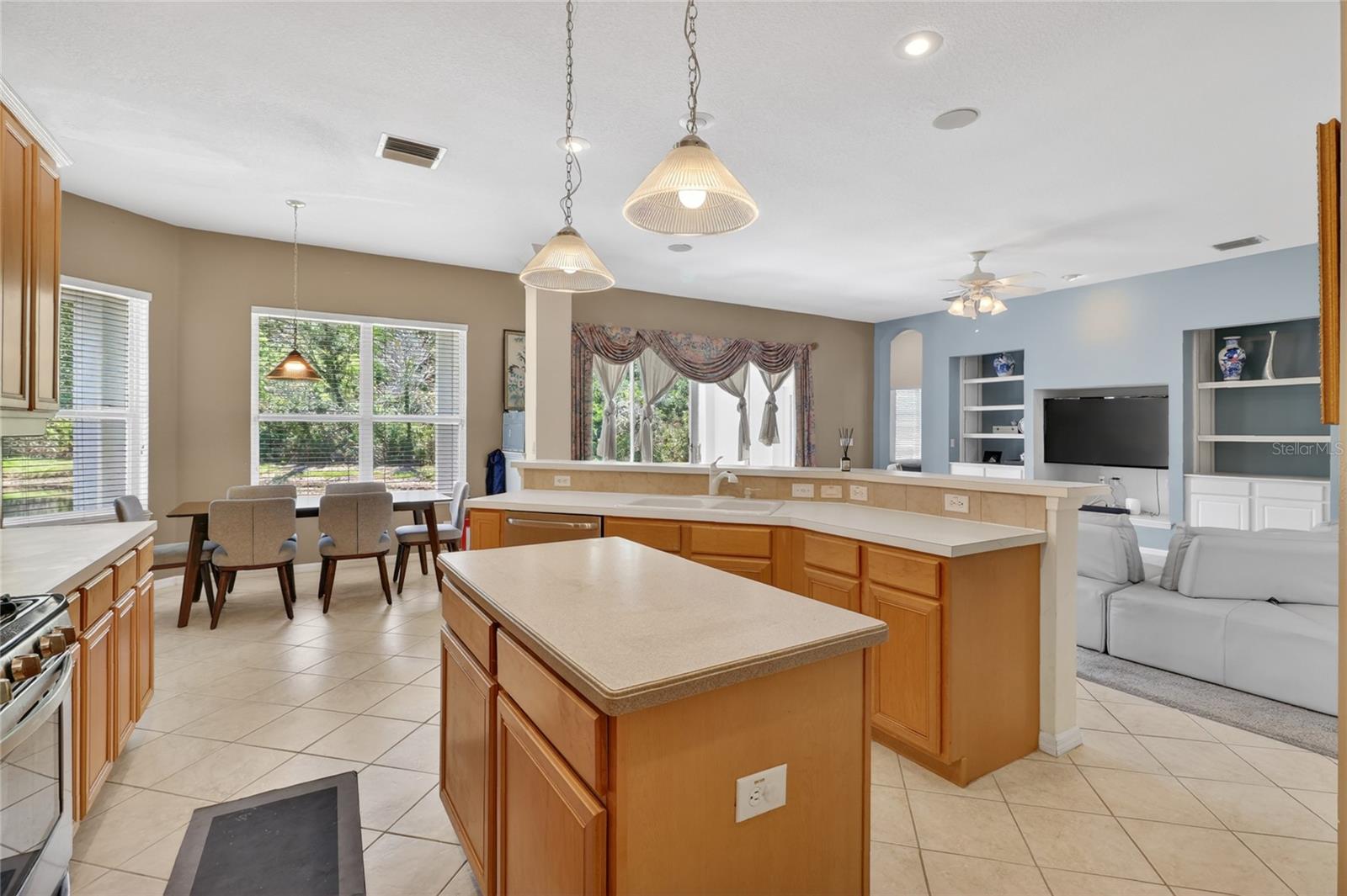 10206 SHADOW BRANCH DR, TAMPA, FL, 33647