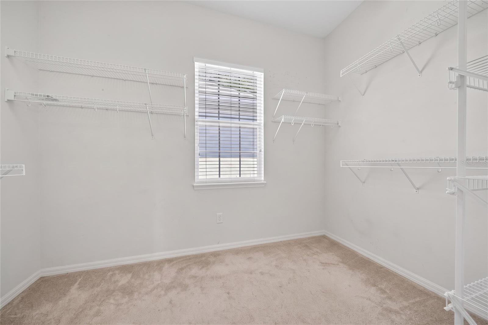 10206 SHADOW BRANCH DR, TAMPA, FL, 33647