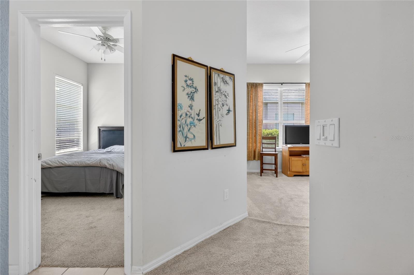 10206 SHADOW BRANCH DR, TAMPA, FL, 33647