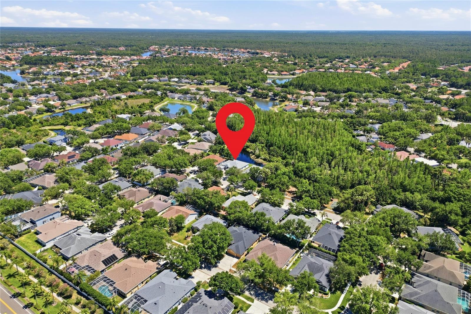 10206 SHADOW BRANCH DR, TAMPA, FL, 33647