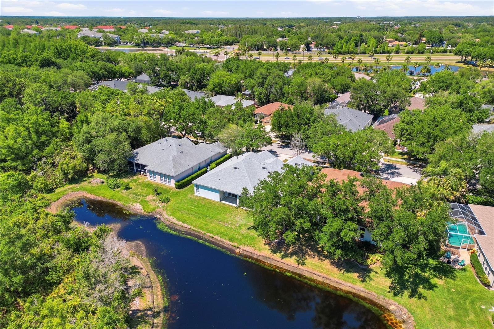 10206 SHADOW BRANCH DR, TAMPA, FL, 33647