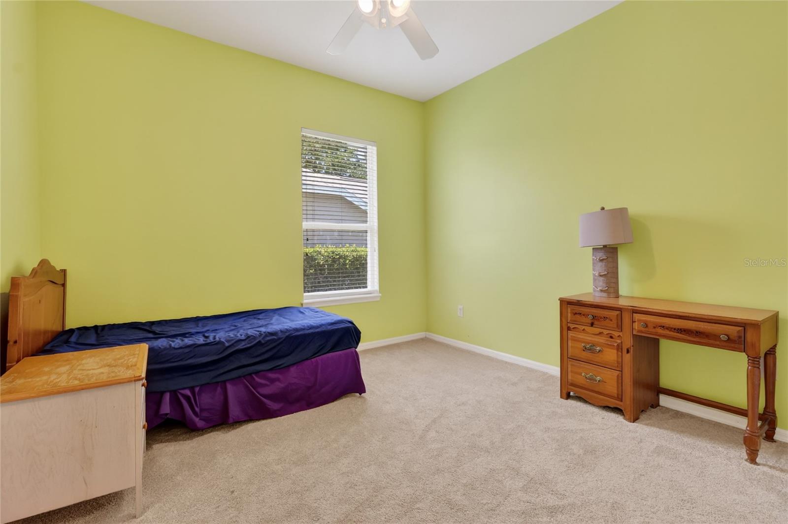 10206 SHADOW BRANCH DR, TAMPA, FL, 33647