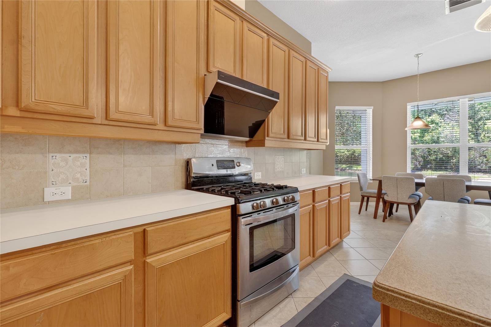 10206 SHADOW BRANCH DR, TAMPA, FL, 33647