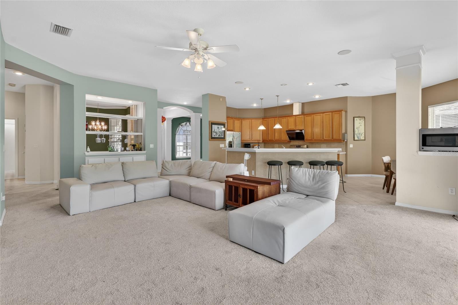 10206 SHADOW BRANCH DR, TAMPA, FL, 33647