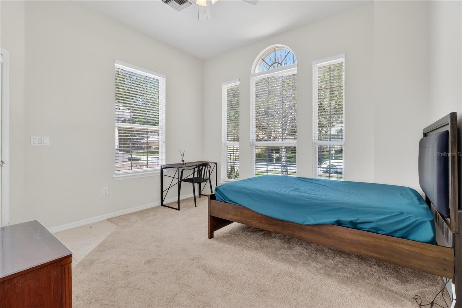 10206 SHADOW BRANCH DR, TAMPA, FL, 33647